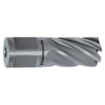 Κοπτήρας 25mm Για Μαγνητικό Δράπανο 22mm Silver Line Karnasch 201255022